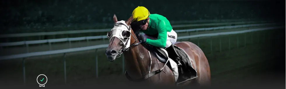 米拉连续击,败大满贯得,首次挺进,世界杯投注,2026世界杯,投注技巧,赛事分析,赔率比较